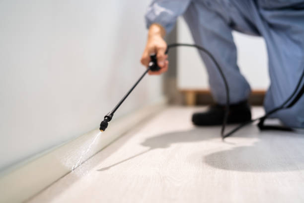 Licensed Pest Control service in Center, TX - Show Me Pest Control