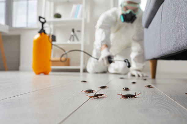Commercial Kitchen Cockroach Control in Center